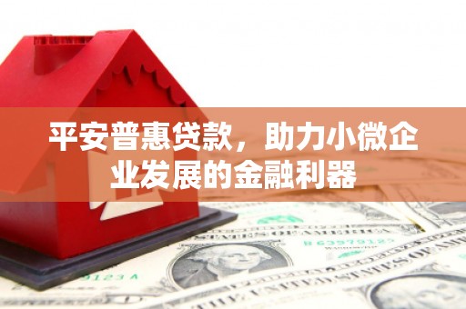 新邱平安普惠贷款，助力小微企业发展的金融利器