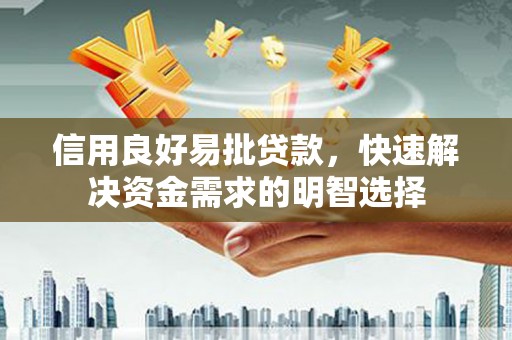瑞穗信用良好易批贷款，快速解决资金需求的明智选择