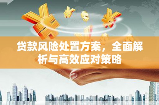 洪洞贷款风险处置方案，全面解析与高效应对策略