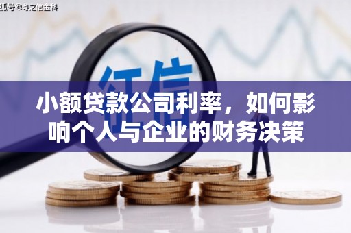 平南小额贷款公司利率，如何影响个人与企业的财务决策