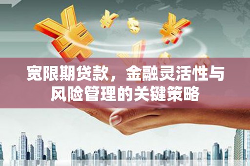 嘉荫宽限期贷款，金融灵活性与风险管理的关键策略