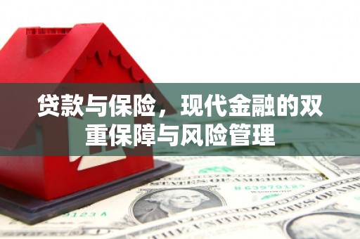大埤贷款与保险，现代金融的双重保障与风险管理