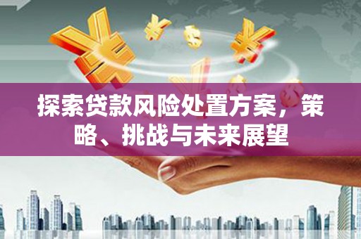 泉山探索贷款风险处置方案，策略、挑战与未来展望