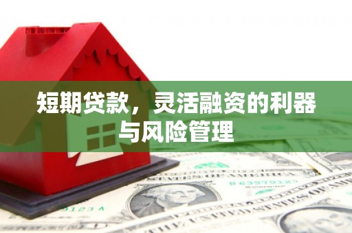 泉州短期贷款，灵活融资的利器与风险管理