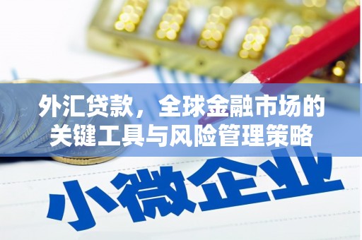 郁南外汇贷款，全球金融市场的关键工具与风险管理策略
