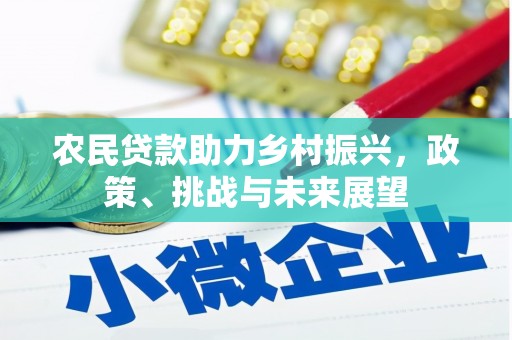 富裕农民贷款助力乡村振兴，政策、挑战与未来展望