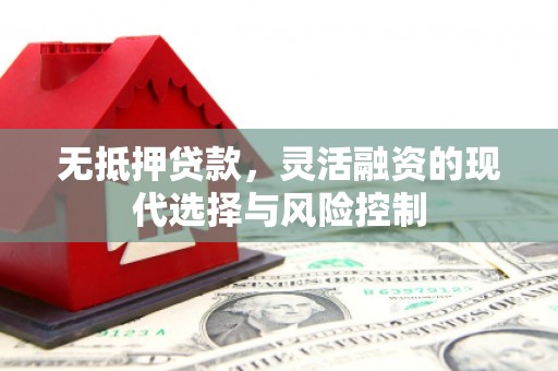 内埔无抵押贷款，灵活融资的现代选择与风险控制
