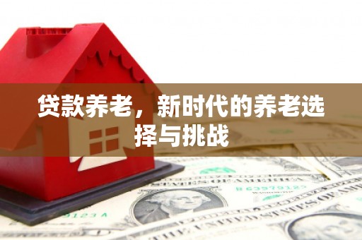 临邑贷款养老，新时代的养老选择与挑战