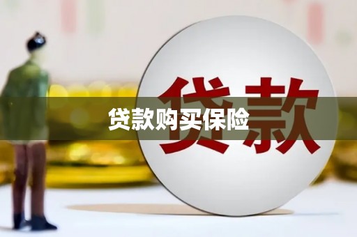 徽县贷款购买保险