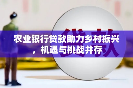 三江农业银行贷款助力乡村振兴，机遇与挑战并存