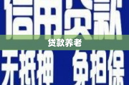 汝阳贷款养老