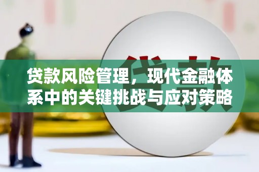 稻城贷款风险管理，现代金融体系中的关键挑战与应对策略