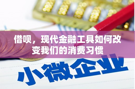 石鼓借呗，现代金融工具如何改变我们的消费习惯