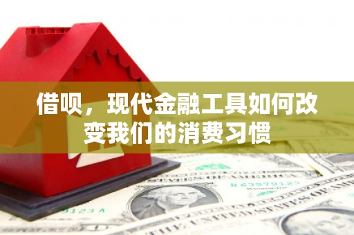 大社借呗，现代金融工具如何改变我们的消费习惯