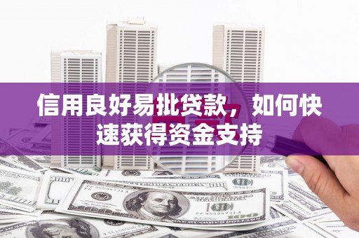 土库信用良好易批贷款，如何快速获得资金支持