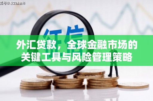 科右中旗外汇贷款，全球金融市场的关键工具与风险管理策略