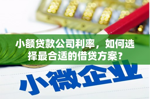 贵阳小额贷款公司利率，如何选择最合适的借贷方案？