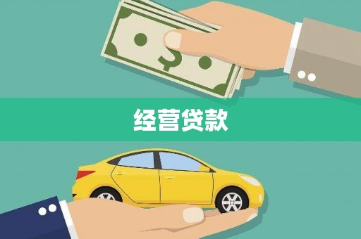 新和经营贷款