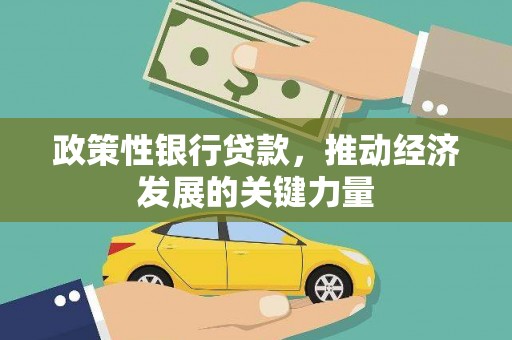 岳麓政策性银行贷款，推动经济发展的关键力量