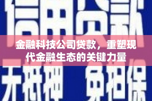 文峰金融科技公司贷款，重塑现代金融生态的关键力量