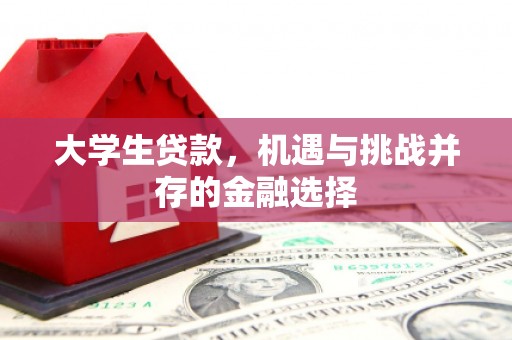章贡大学生贷款，机遇与挑战并存的金融选择