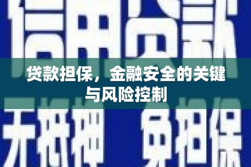 狮子贷款担保，金融安全的关键与风险控制