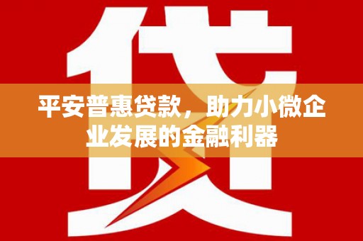 霍林郭勒平安普惠贷款，助力小微企业发展的金融利器