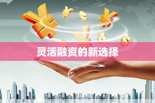 洪梅灵活融资的新选择
