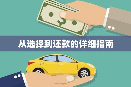 旬阳从选择到还款的详细指南