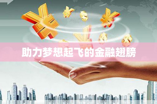 龙凤助力梦想起飞的金融翅膀