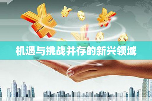 壮围机遇与挑战并存的新兴领域