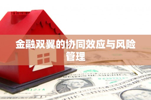 蓬江金融双翼的协同效应与风险管理