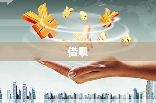 杂多借呗