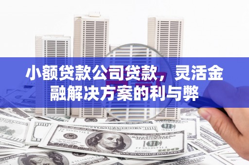 宁晋小额贷款公司贷款，灵活金融解决方案的利与弊