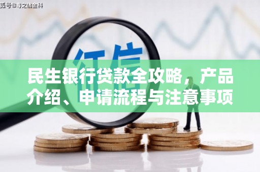 仙游民生银行贷款全攻略，产品介绍、申请流程与注意事项